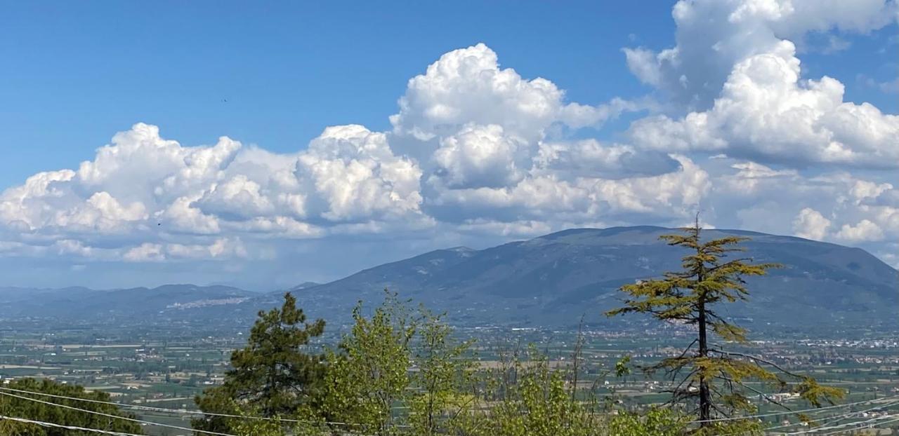 App. Con Terrazza Panoramica In Centro-蒙特法尔科 外观 照片